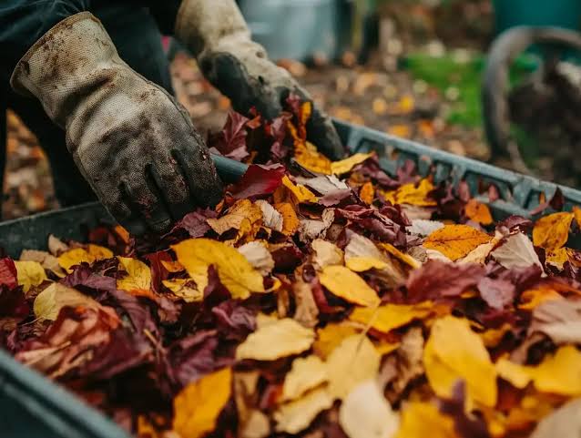 Fall
